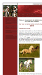 Mobile Screenshot of berber-online.de